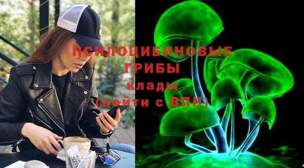 СК Верхний Тагил